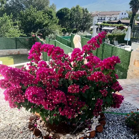 ヴィラ Bag Tepesi