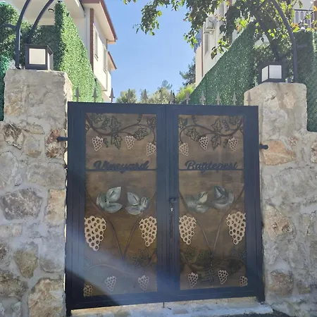 Bag Tepesi Villa