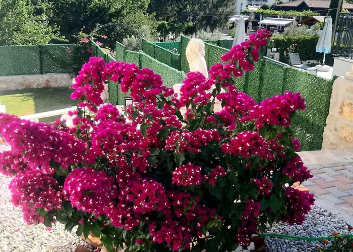 ヴィラ Bag Tepesi